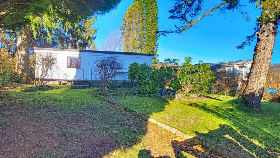 Tier de Rinze - 37 - 141 - 6940