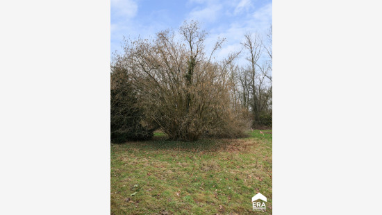 Grootstraat - 6 - - 3570