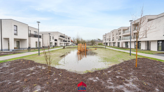 Hezerpad - zn - - W4 - 3920