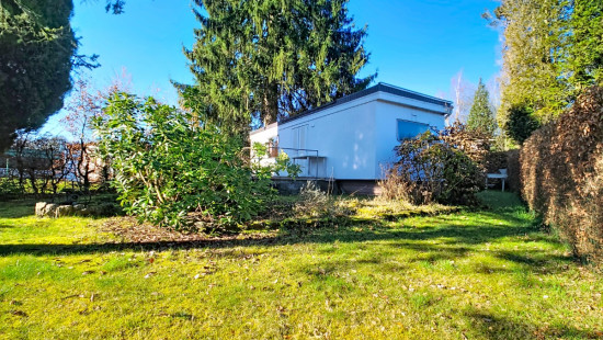 Tier de Rinze - 37 - 141 - 6940