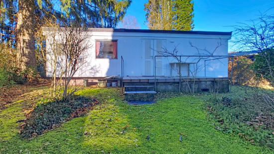 Tier de Rinze - 37 - 141 - 6940