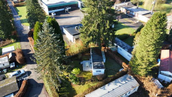 Tier de Rinze - 37 - 141 - 6940