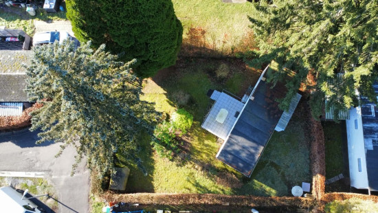 Tier de Rinze - 37 - 141 - 6940