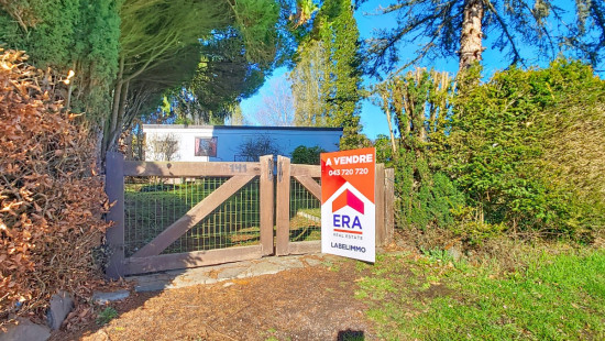 Tier de Rinze - 37 - 141 - 6940