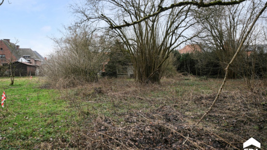 Grootstraat - 6 - - 3570