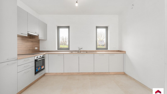 Rue du Trieu - 17 - c - c - 7950