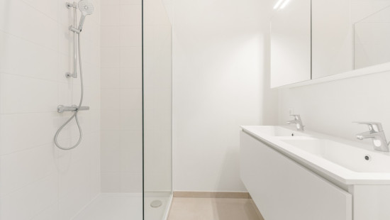 Zilverlaan - 50 - 1.2 - 8400