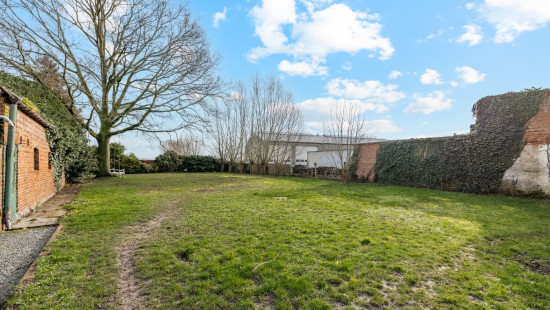 Sint-Margrietestraat - 42 - - 9981