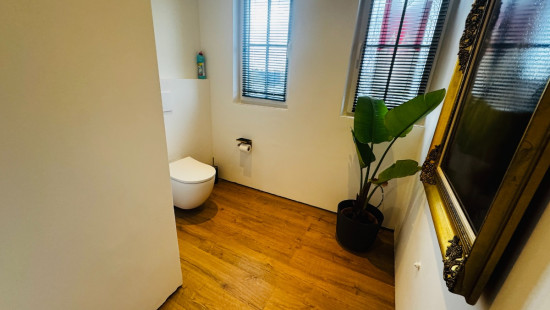 Lauwestraat - 26 - - 8930