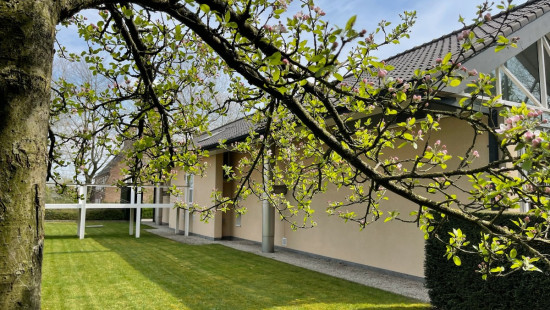 Felix D'Hoopstraat - 209 - - 8700