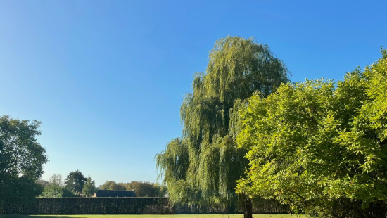 Felix D'Hoopstraat - 209 - - 8700