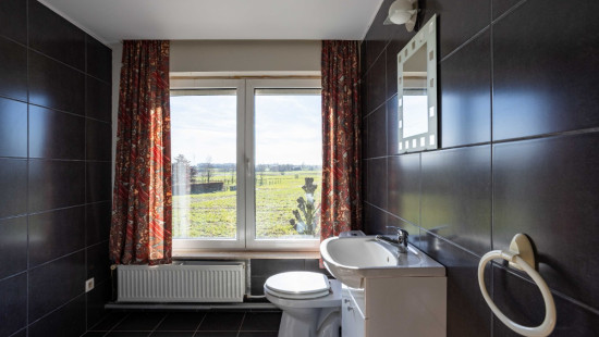 Ellestraat - 63 - - 8550