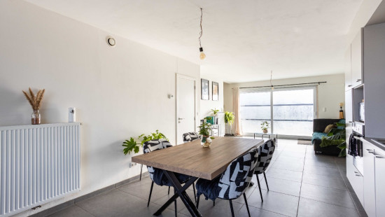 Paardenbloemstraat - 24 - - 8550