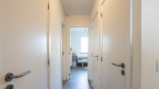 Paardenbloemstraat - 24 - - 8550