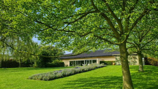 Felix D'Hoopstraat - 209 - - 8700