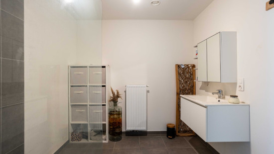 Paardenbloemstraat - 24 - - 8550