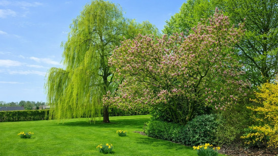 Felix D'Hoopstraat - 209 - - 8700