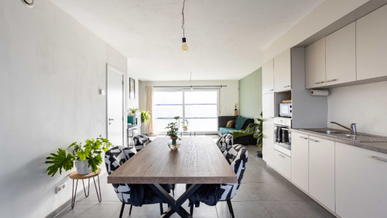 Paardenbloemstraat - 24 - - 8550