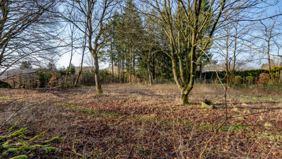 Coullée - 17 - - 6660