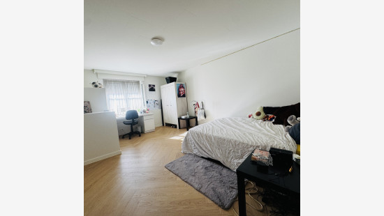 Vlaschaardlaan - 26 - - 8880