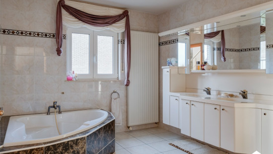 Ertsenrijkstraat - 20 - - 3545