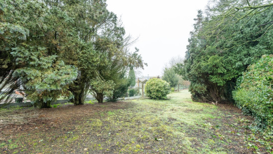 Boekhoutedorp - 23 - - 9961