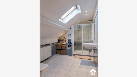 Ertsenrijkstraat - 20 - - 3545