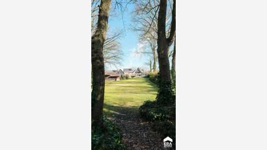 Biegrachtstraat - 31 - - 3600