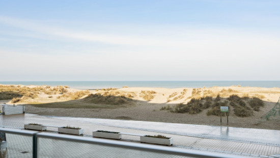 Zeedijk - 43 0102 - Seagull - 8620