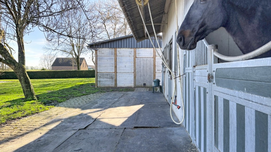 Rue du Mohet - 32 - - 4357