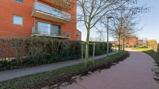 Alice Nahonlaan - 20 - GLVL - 2070