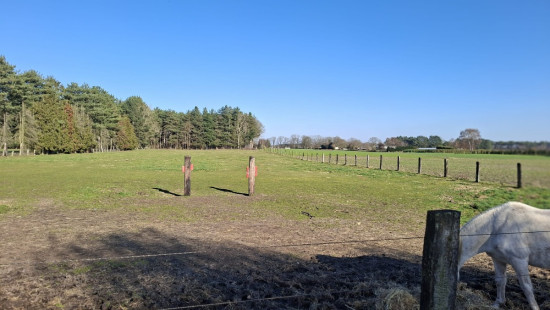 Onze-Lieve-Vrouwlaan - 6 - - 3990