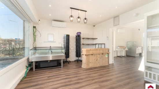 Wingensesteenweg - 12 - - 8700