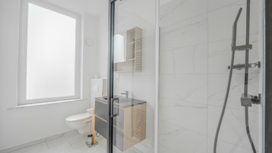 Rue Herman-Reuleaux - 41 - 0011 - 4020