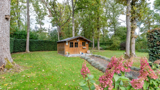 Chemin des Sangliers - 222 - - 5377