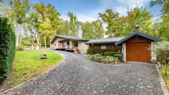 Chemin des Sangliers - 222 - - 5377