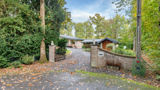 Chemin des Sangliers - 222 - - 5377