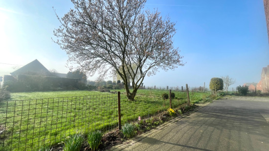 Dadizeelsestraat - 204 - - 8890