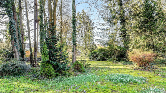 de Robianostraat - 30 en 30a - - 3080