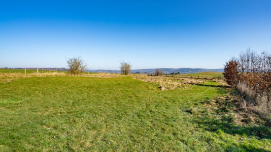 Halleux - 9 - D - 6980