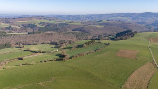 Halleux - 9 - D - 6980