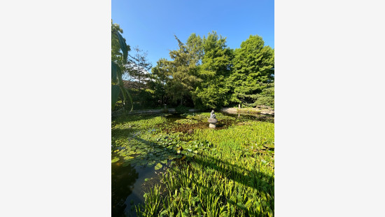 Baron Holvoetlaan - 32 - - 8890