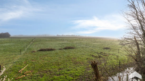 Oostendesteenweg - 238 - - 8480