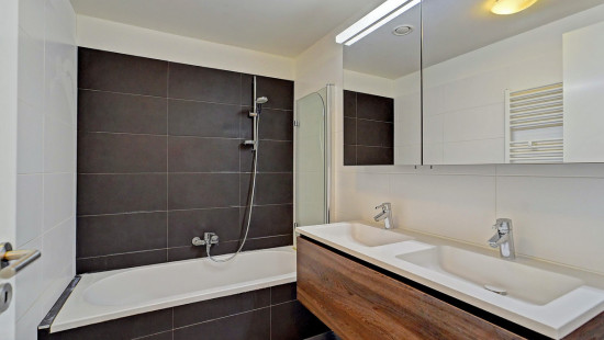 Allée Louise Van den Plas - 1 - D53 - 1200