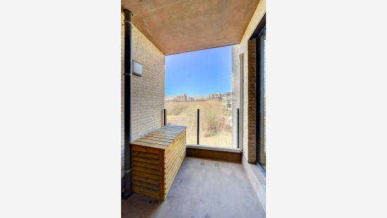 Allée Louise Van den Plas - 1 - D53 - 1200