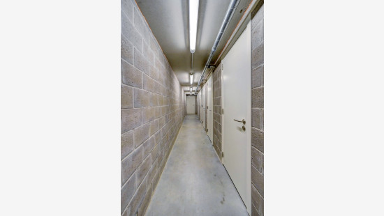 Allée Louise Van den Plas - 1 - D53 - 1200