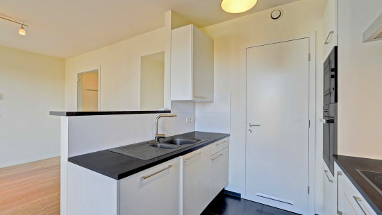 Allée Louise Van den Plas - 1 - D53 - 1200