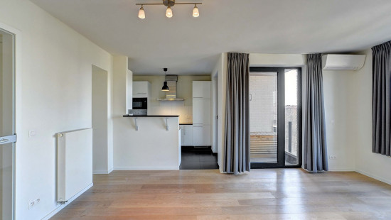 Allée Louise Van den Plas - 1 - D53 - 1200