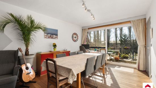 Rue de la Poterie - 46 - - 7100