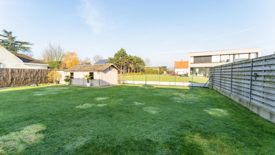 Blauwvoetstraat - 4A - - 8710